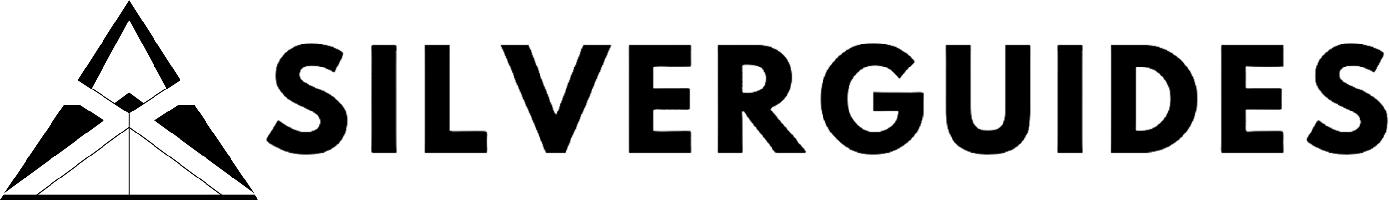 Silver Guides — AI automation client of Arbutus Labs